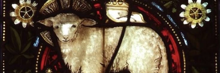 elizabeth (19) banner