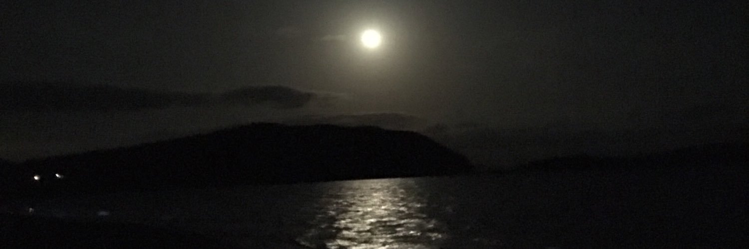 the voorman problem banner