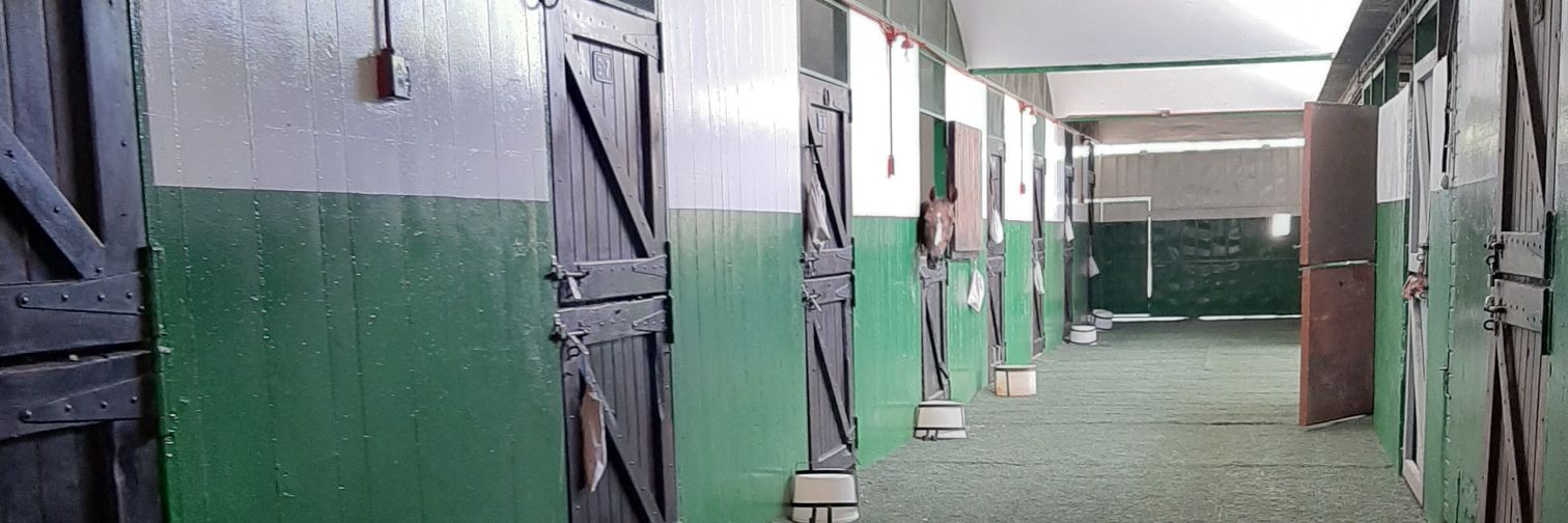 Fernando Briceño  ™ 🇻🇪 banner