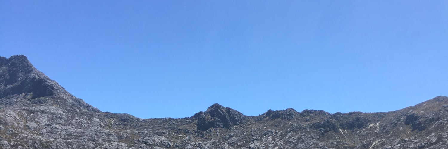 lucianaltuve8's profile banner image