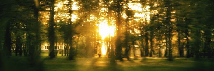 abby⋆˚꩜｡ (-3/9kg) banner