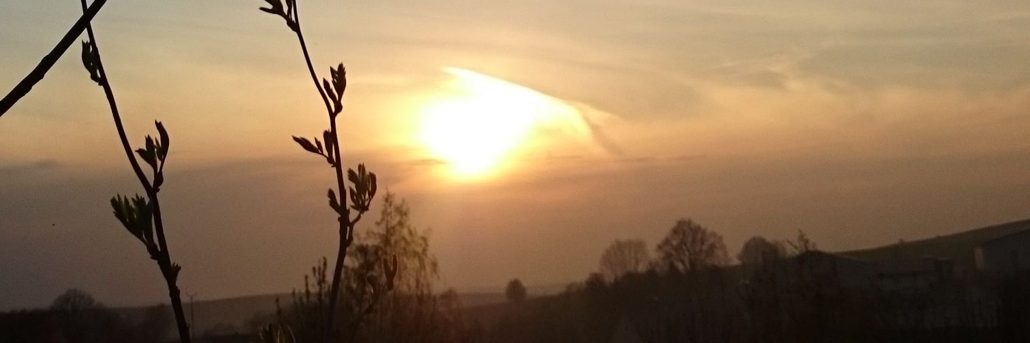 AwylionWhy's profile banner image