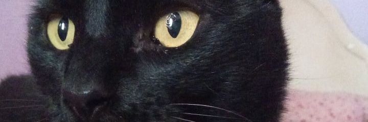 Jezaa02's profile banner image