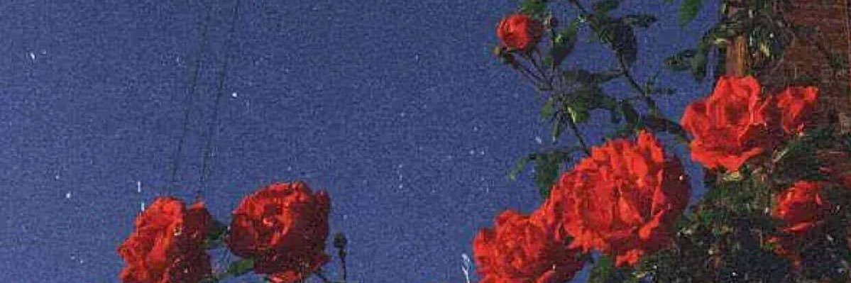 sonofconfusion's profile banner image