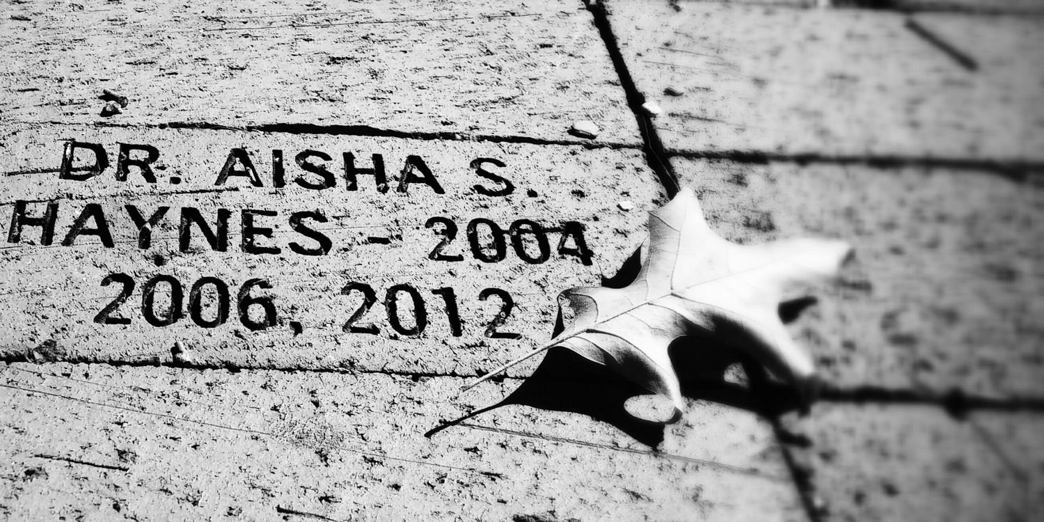 aishahaynes's profile banner image