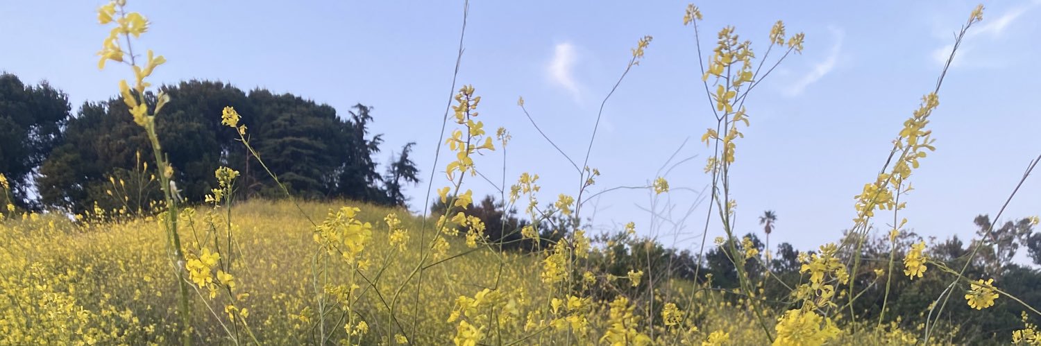 UpTheChurch1's profile banner image