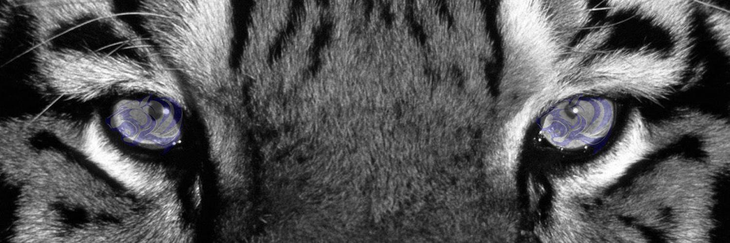 PHSTigerPride banner