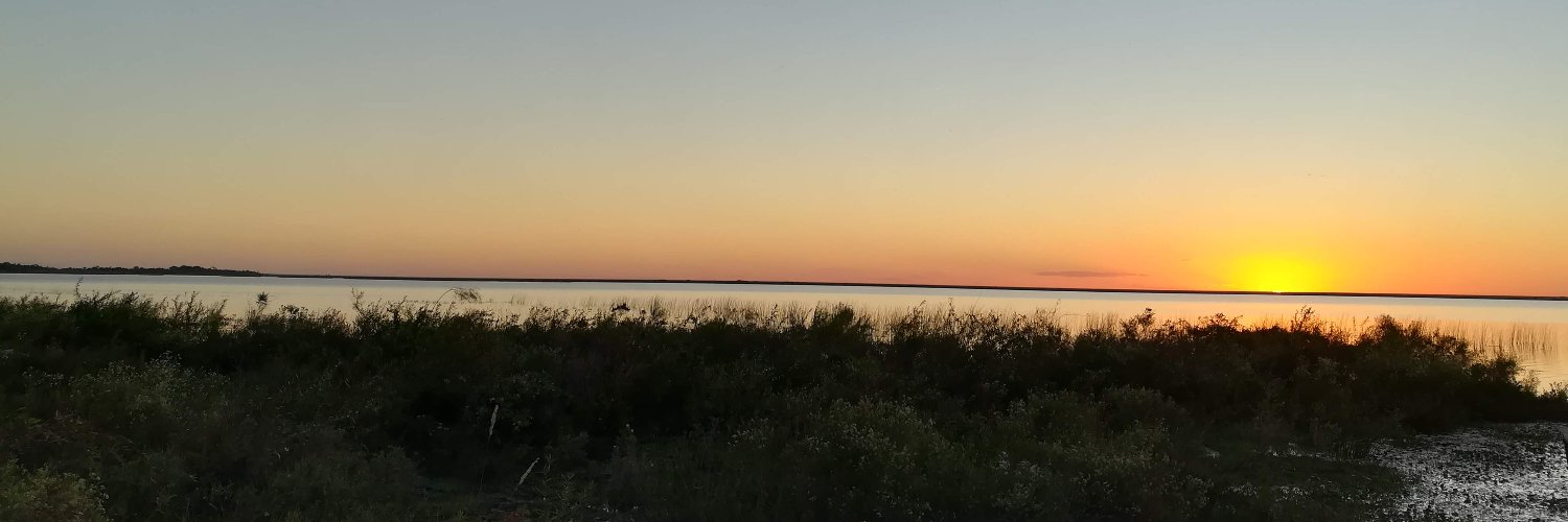 florencia bottazzi banner