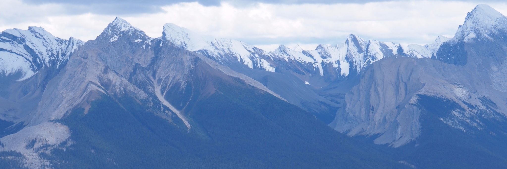 Emily Bennett banner