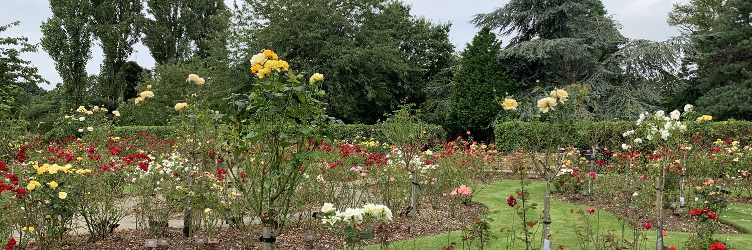 Lucy_Corke's profile banner image
