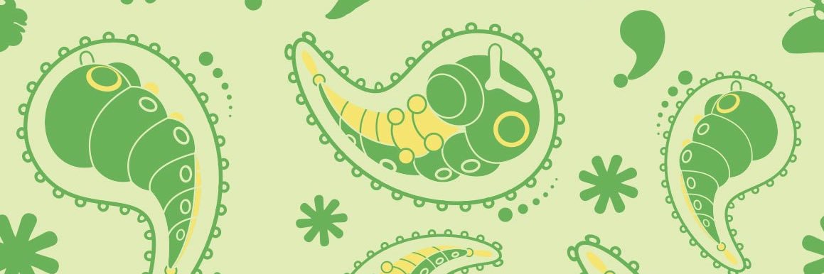 🐛 banner