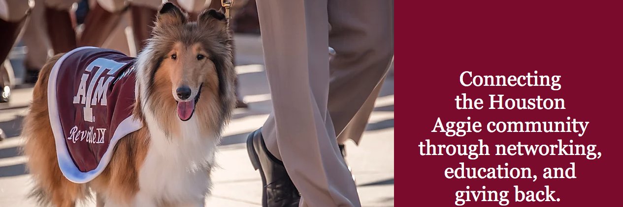 HoustonAggieW's profile banner image
