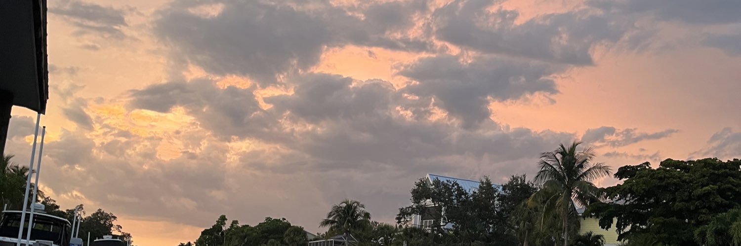 haveeen_leee's profile banner image