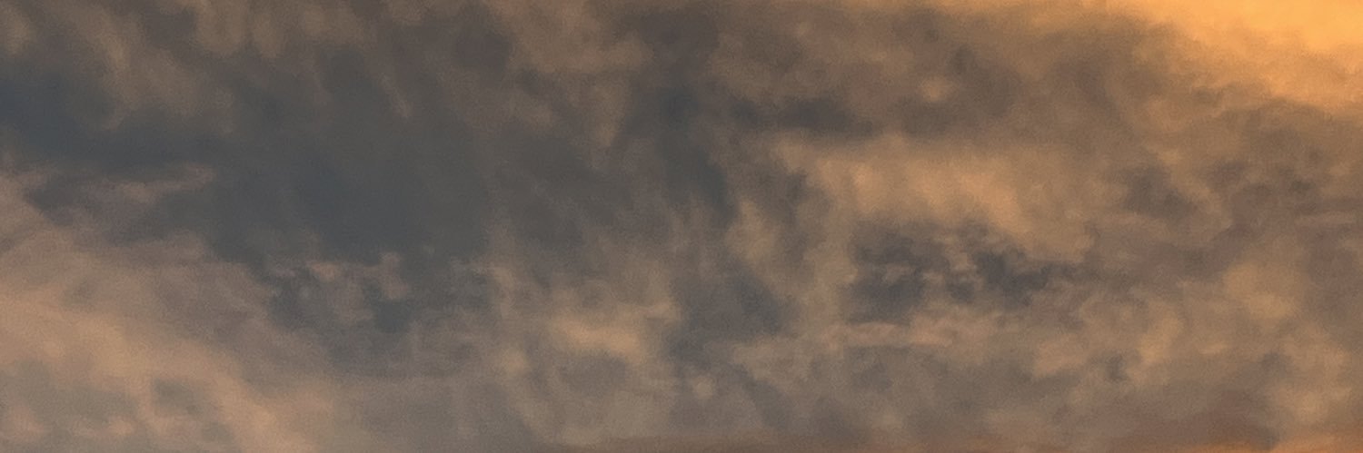 Alondra14e's profile banner image