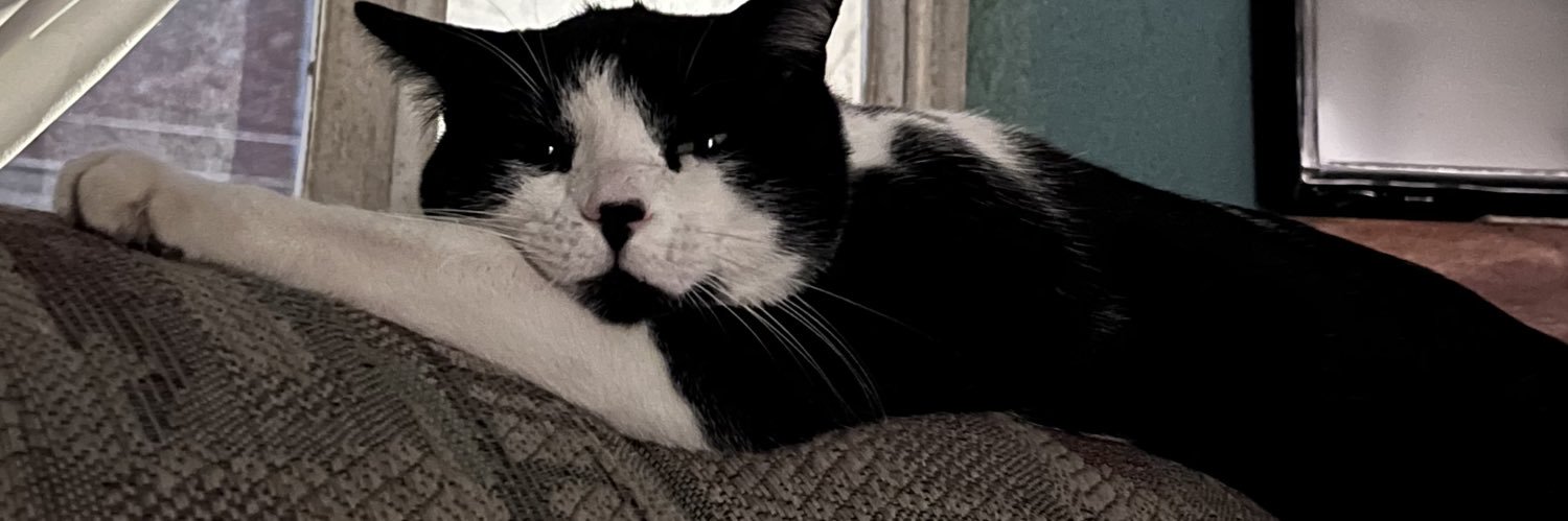loca_lopez5's profile banner image