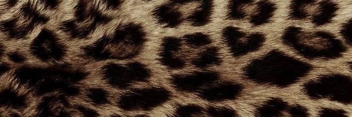 noiirelys's profile banner image