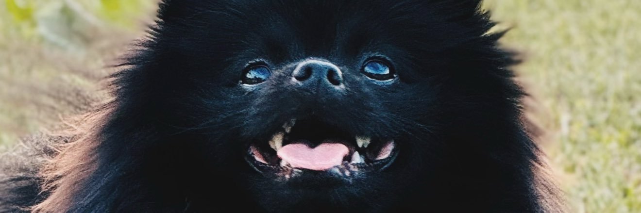 vkoobey's profile banner image