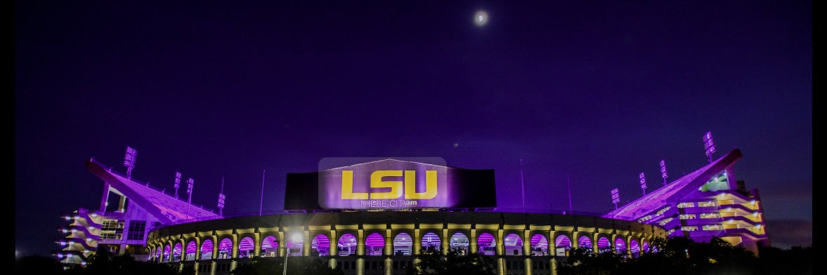 TooTurntTiger banner