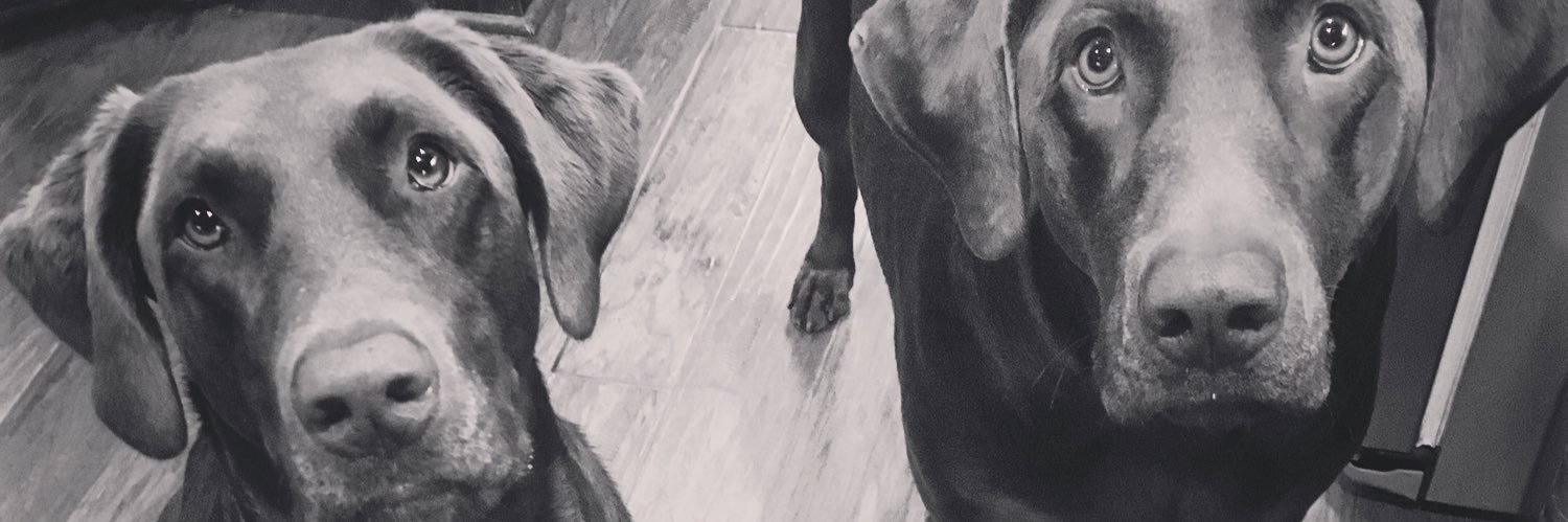 stanleyStyleGT's profile banner image