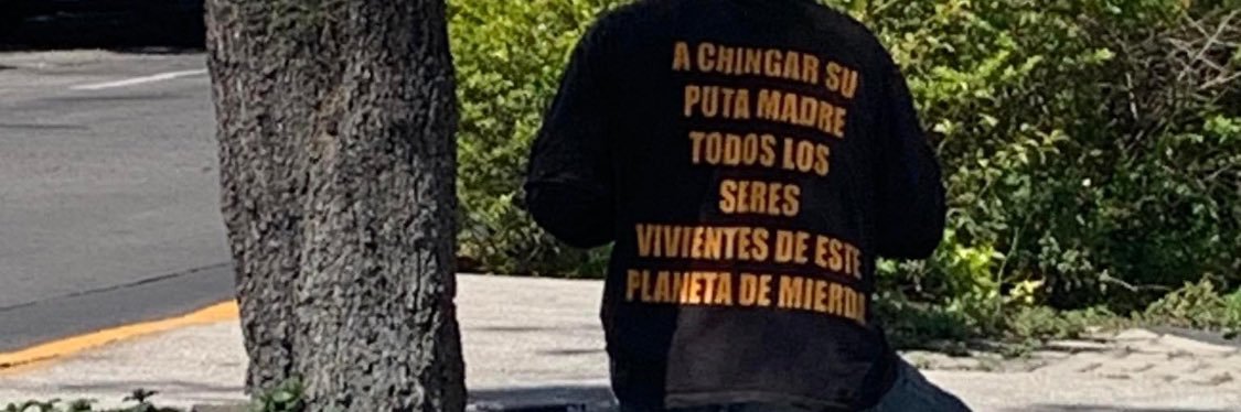 CholaMistica's profile banner image