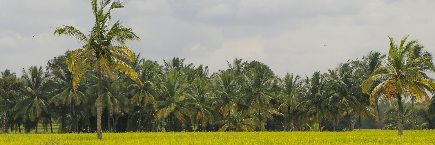 Monsieur Vick banner