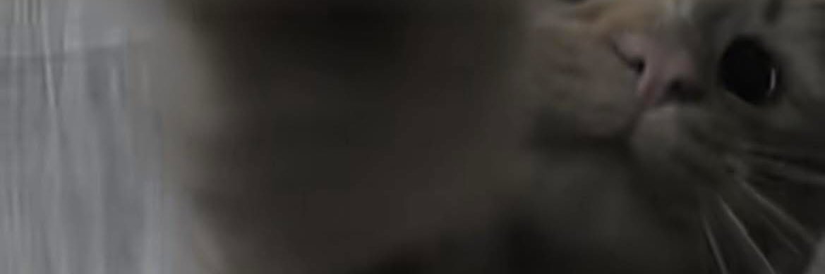 safe_zone3236's profile banner image