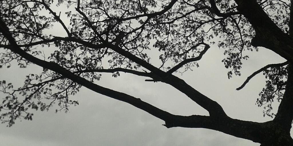 ulwiuwek's profile banner image