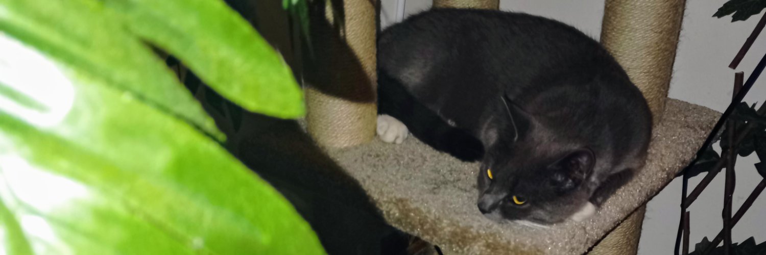 Camillo Di Pawsa & Bruder Martini banner