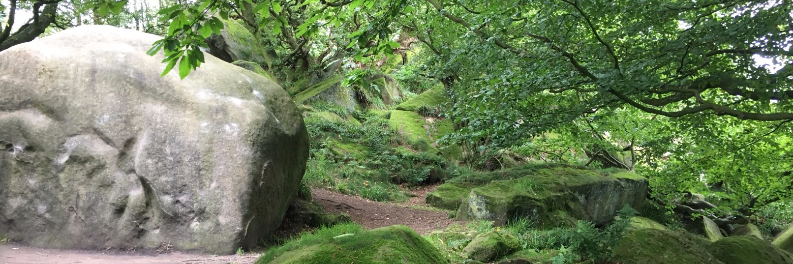 Doug Copestake banner