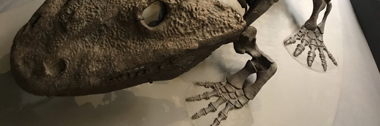 PiersNS's profile banner image