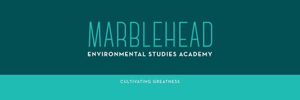 mhesdolphins Profile Banner