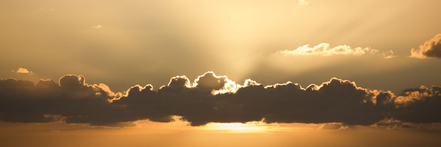 ♡Sunnie♡ banner