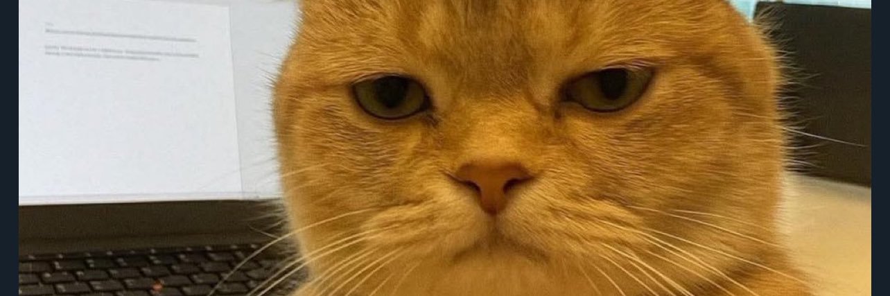 medinaleo_'s profile banner image