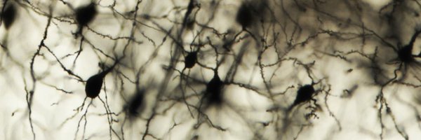 LodatoS_Lab Profile Banner