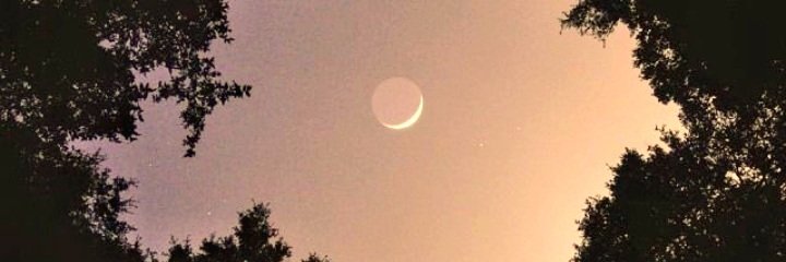 𝙫𝙞𝙞 ᯓ🧊⊹ banner