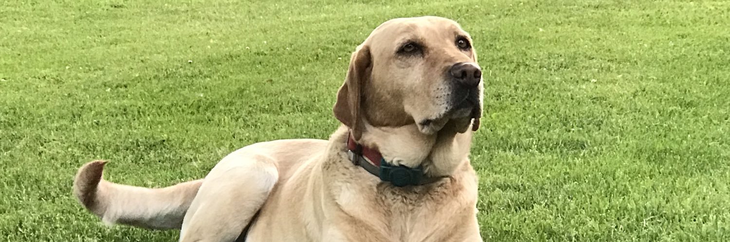 Jwgill61's profile banner image