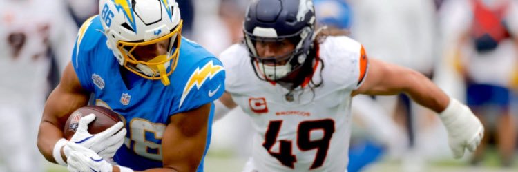 ⚡️ Julia ⚡️ 🇩🇪 🇺🇸 banner