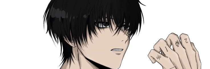 Zeyra banner