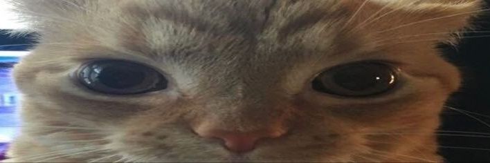 nerdxz_'s profile banner image