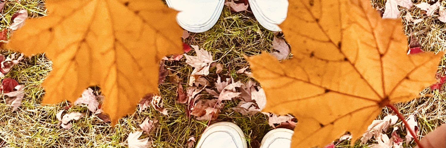 Mitseg13's profile banner image