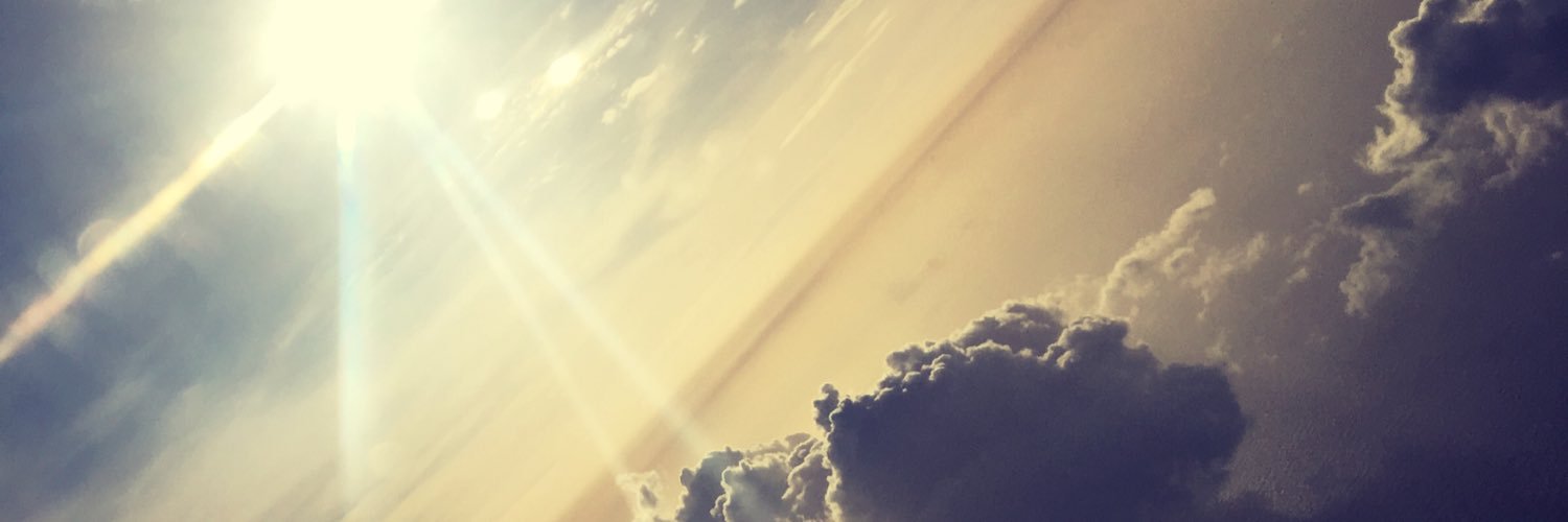 MelissaCitron's profile banner image