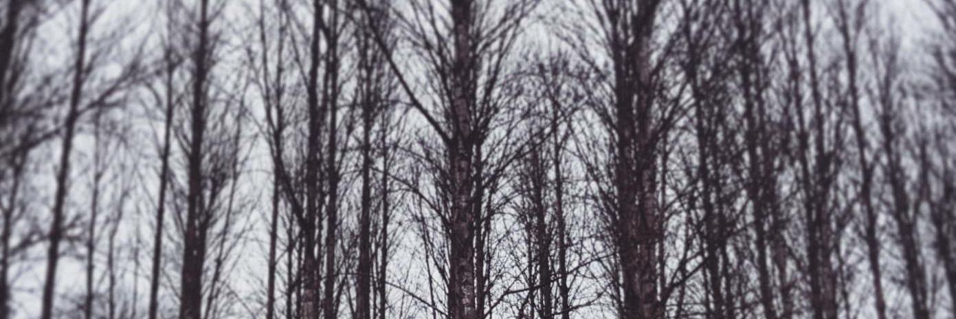 suzeperunknown's profile banner image
