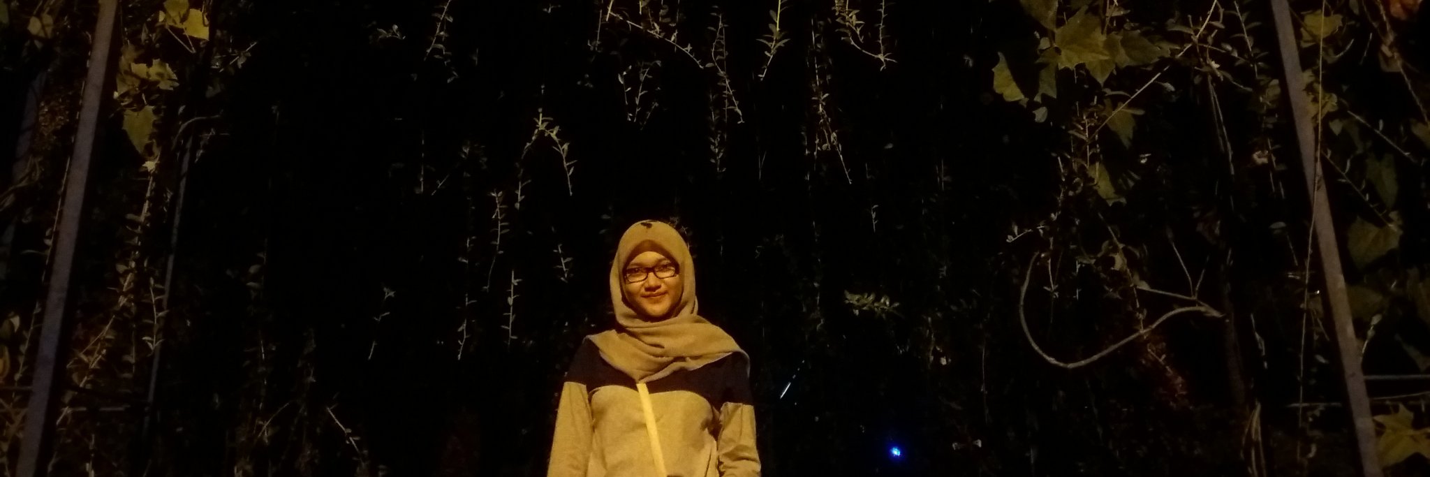 Maulidia_dedek's profile banner image