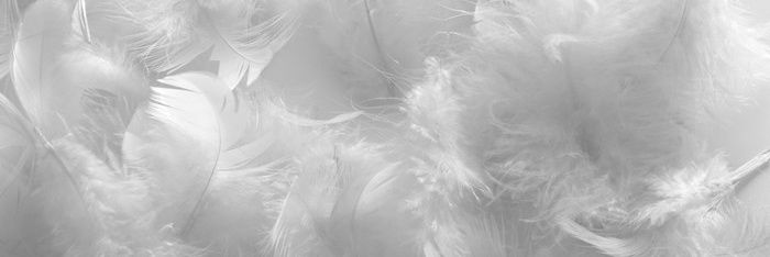 Mthecreative banner