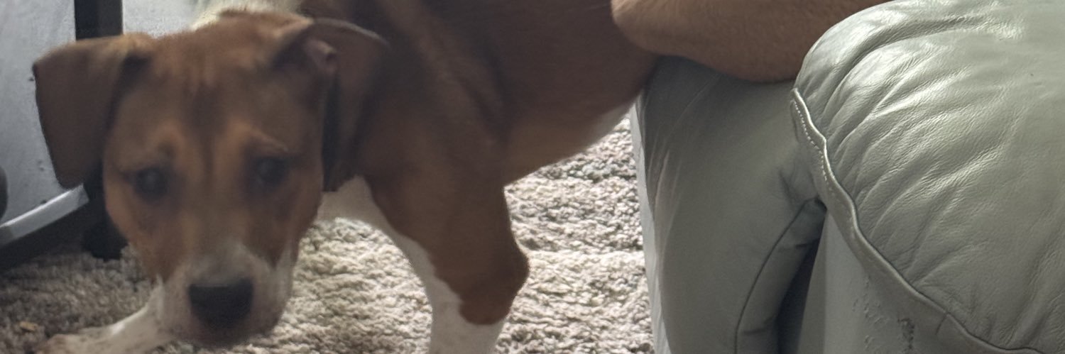 eraswhoree's profile banner image
