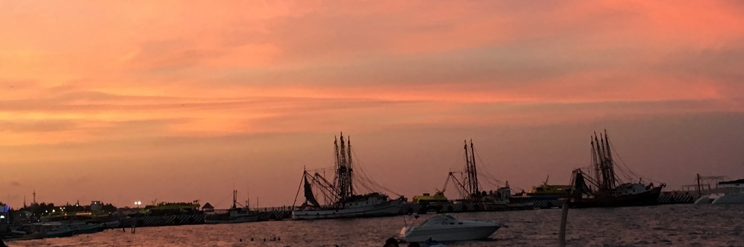 Chia_Bella_'s profile banner image