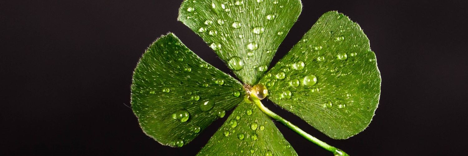 dodiyo13's profile banner image