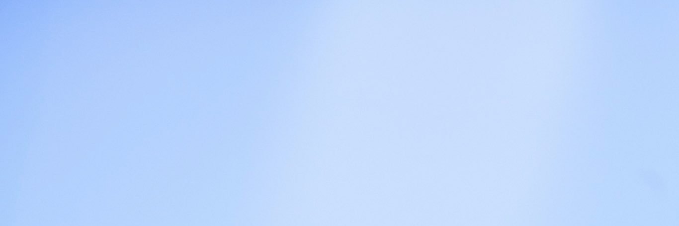 michi banner