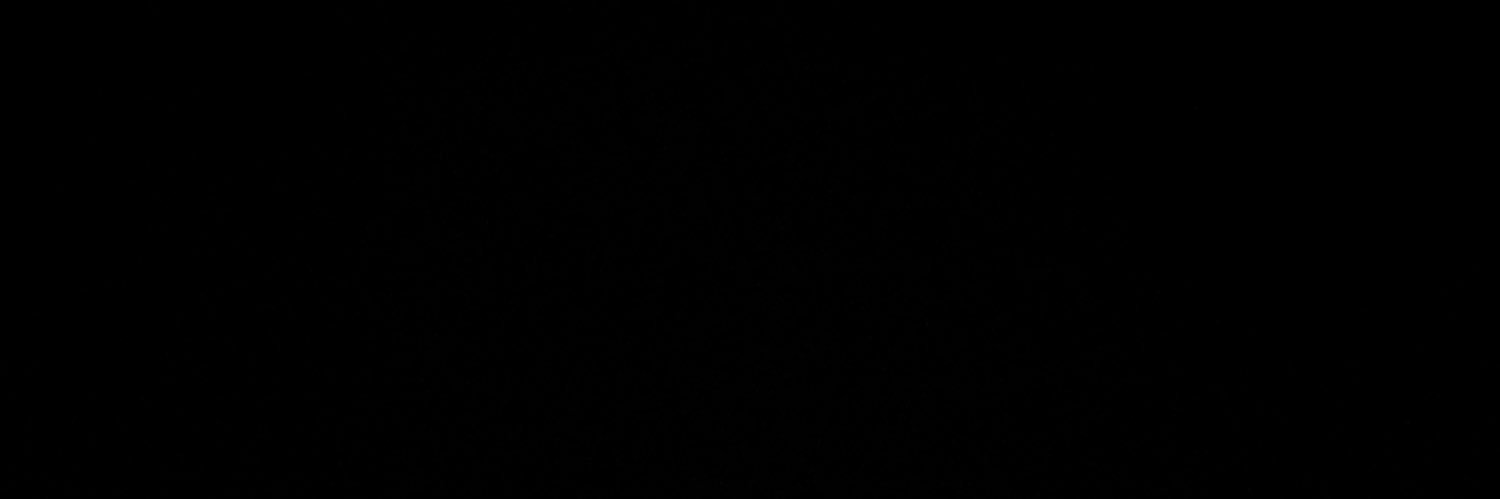 ‘ginaStretcherr banner