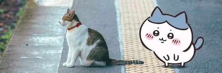 💗 banner